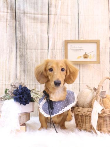 20241004レオくん